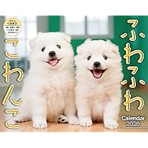 ふわふわこわんこ（月めくり/壁掛け/600mm×380mm） (インプレス